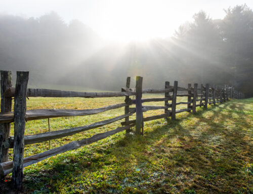 Setting Healthy Boundaries