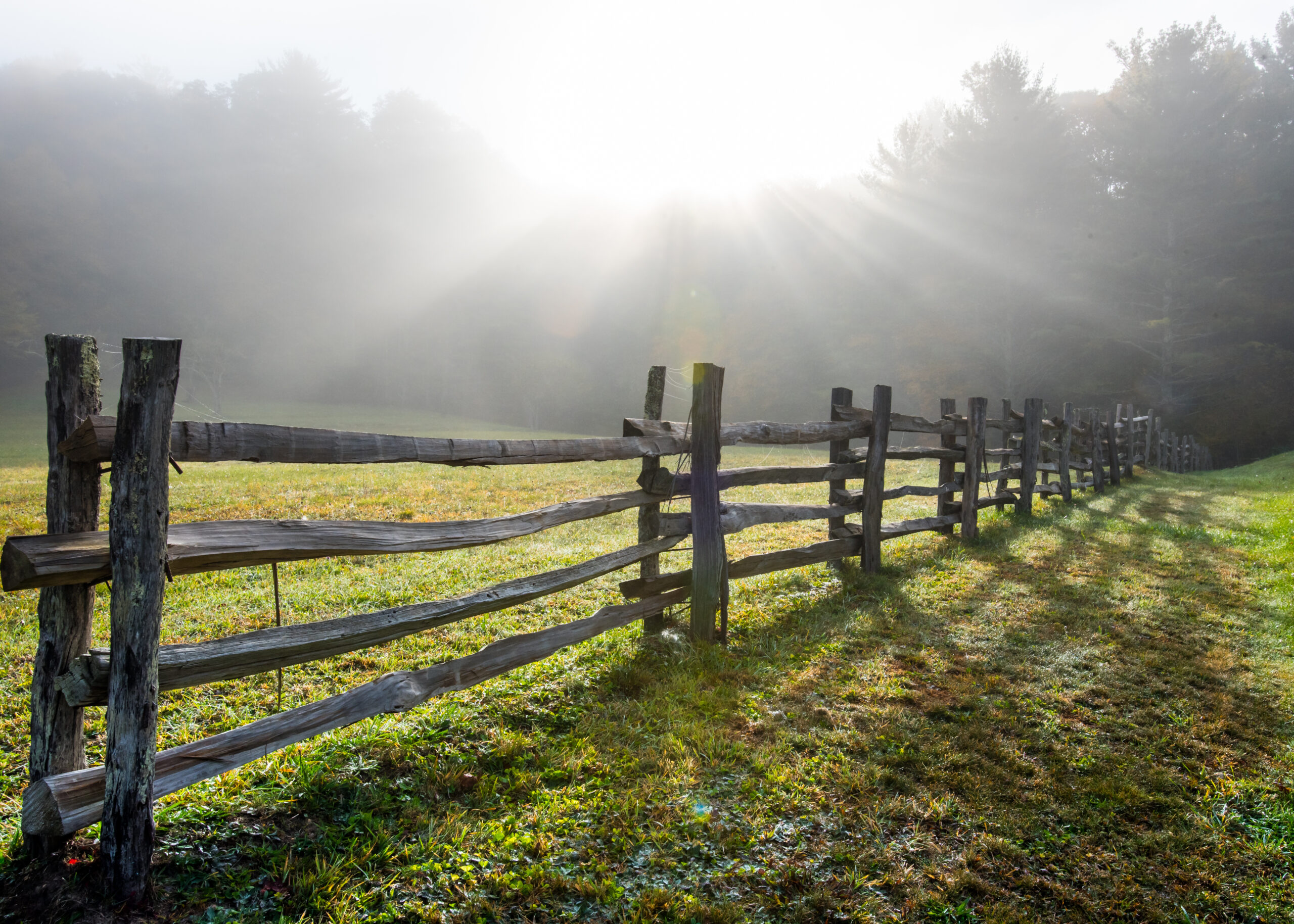 Setting Healthy Boundaries